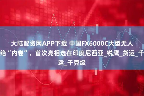 大陆配资网APP下载 中国FX6000C大型无人机拒绝“内卷”，首次亮相选在印度尼西亚_锐鹰_货运_千克级