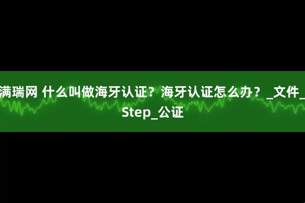 满瑞网 什么叫做海牙认证？海牙认证怎么办？_文件_Step_公证