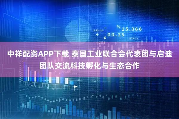 中祥配资APP下载 泰国工业联合会代表团与启迪团队交流科技孵化与生态合作