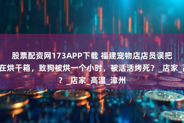 股票配资网173APP下载 福建宠物店店员误把狗狗遗忘在烘干箱，致狗被烘一个小时，被活活烤死？_店家_高温_漳州