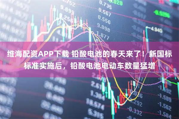 维海配资APP下载 铅酸电池的春天来了！新国标标准实施后，铅酸电池电动车数量猛增